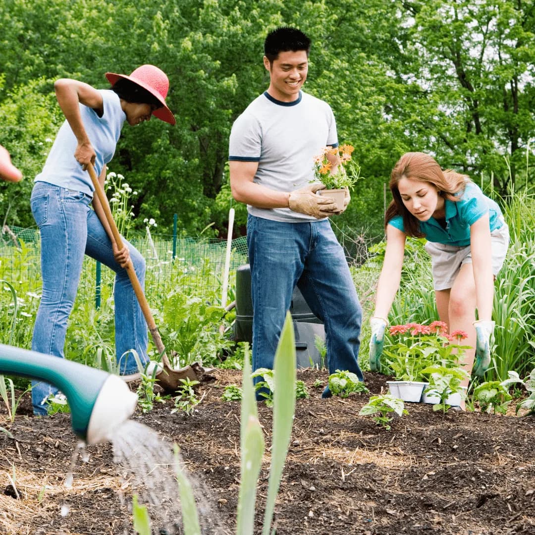 Innovative Community Participation