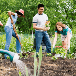 Innovative Community Participation